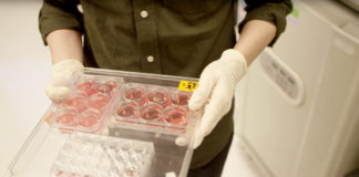 cell culture storage