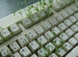 Keyboard with sprouts growing out of keys
