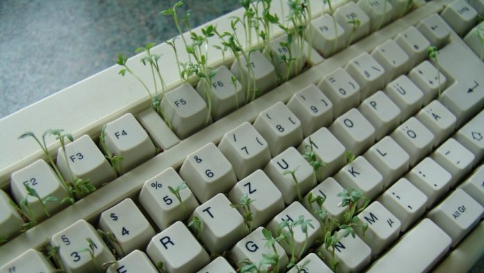 Keyboard with sprouts growing out of keys