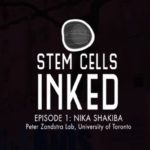 stem-cells-inked-feature-new-web