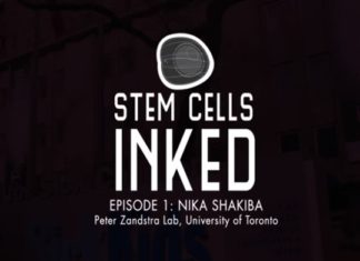 stem cells inked episode 1