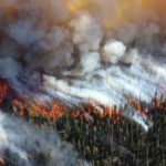 Wildfires: The Good, the Bad, and the Ugly