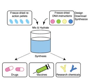 Diagram illustrating how freeze-dried components can be combined with DNA to make a variety of products