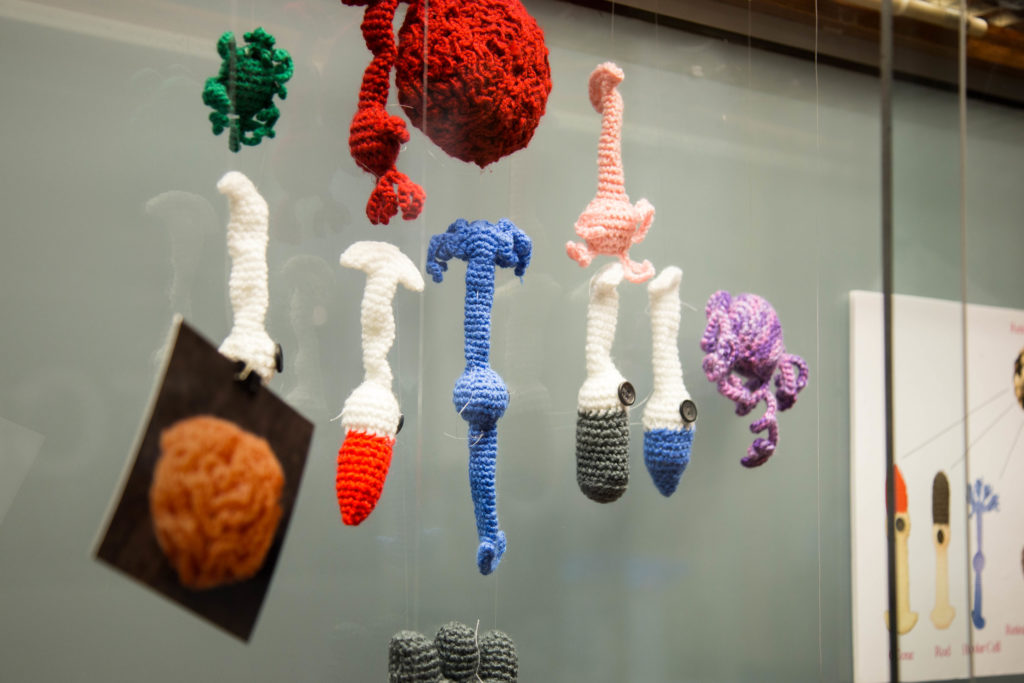 Crochet neurons