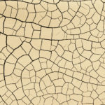 Art-and-Physics-of-Patterns-mud-cracks