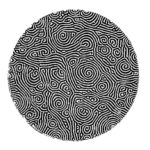 Art-and-Physics-of-Patterns-spiral-defect-chaos