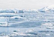antarctic ice melt