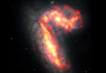 Orange galaxies in outer space.