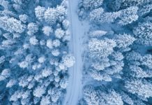 An aerial view of a snow-covered road in between snow-covered trees.