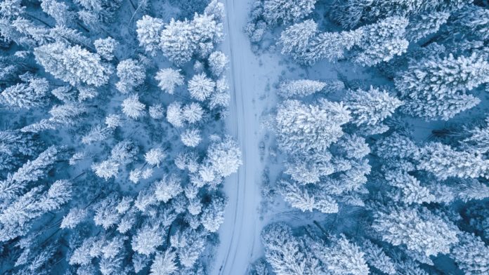 An aerial view of a snow-covered road in between snow-covered trees.