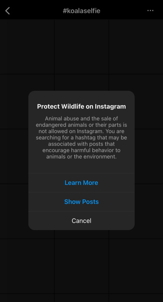 A warning message sent to Instagram users who attempt to search for the #KoalaSelfie hashtag. The text reads: "Protect Wildlife on Instagram. Animal abuse and the sale of endangered animals or their parts is not allowed on Instagram. You are searching for a hashtag that may be associated with posts that encourage harmful behaviour to animals or the environment."