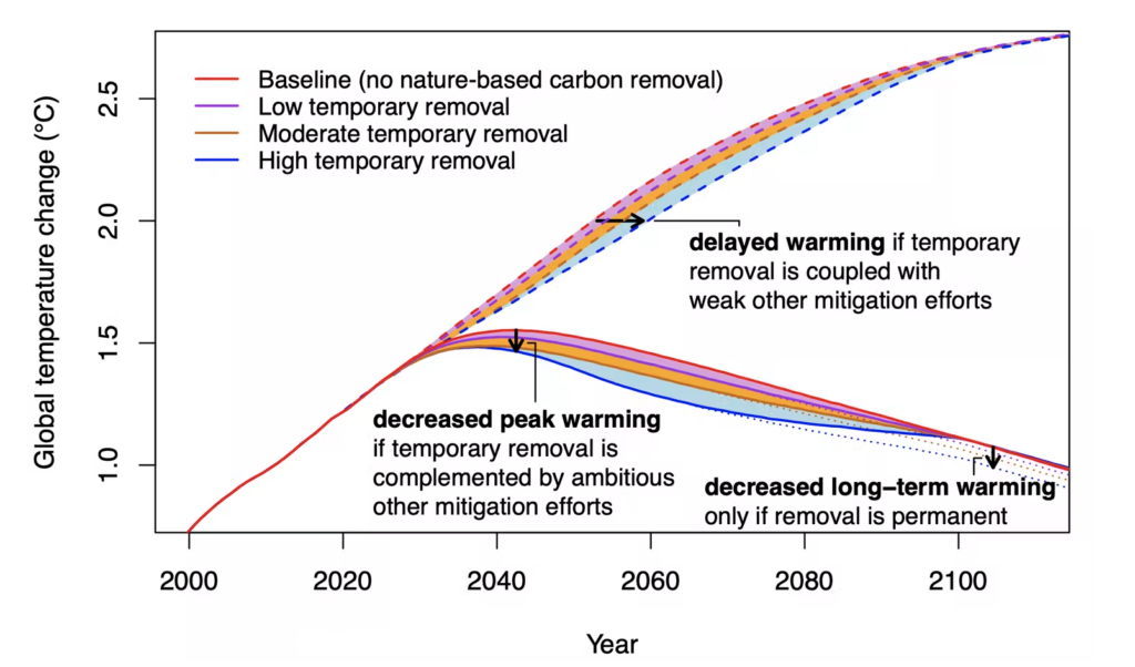 A plot showing how various scenarios will affect global warming levels over the coming century. In a scenario where carbon emissions are reduced and trees are planted, we can decrease the peak warming levels.