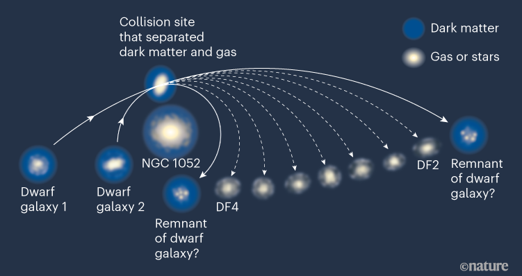 An illustration showing how the two dark-matter-free galaxies, nicknamed DF2 and DF4, could have formed. When the galaxies collided in the distant past, they should have left a trail of dark-matter-free objects in between. The illustration shows two galaxies originally orbiting a much larger galaxy, and then colliding in the distant past. From this collision, two galaxies containing dark matter continue to travel forwards, whereas smaller remnant galaxies containing no dark matter are slowed down and create a trail in between.