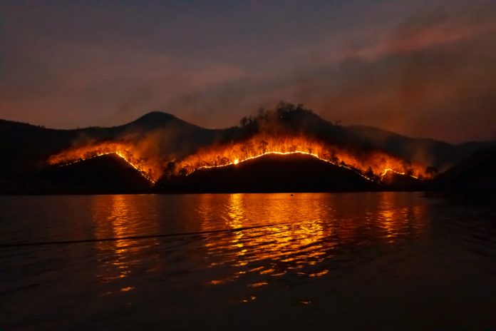 A wildfire burning through a forest at the edge of a lake.