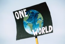 A climate change protest sign. The sign is black, with a painting of the Earth in the middle. The words "ONE WORLD" are written across the top and bottom.