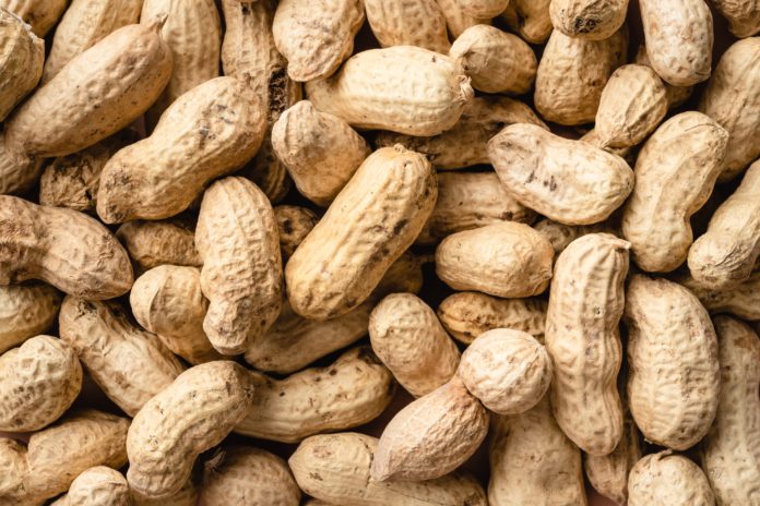 Bowl of peanuts