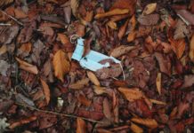 A used medical mask discarded on the ground, in a pile of leaves.
