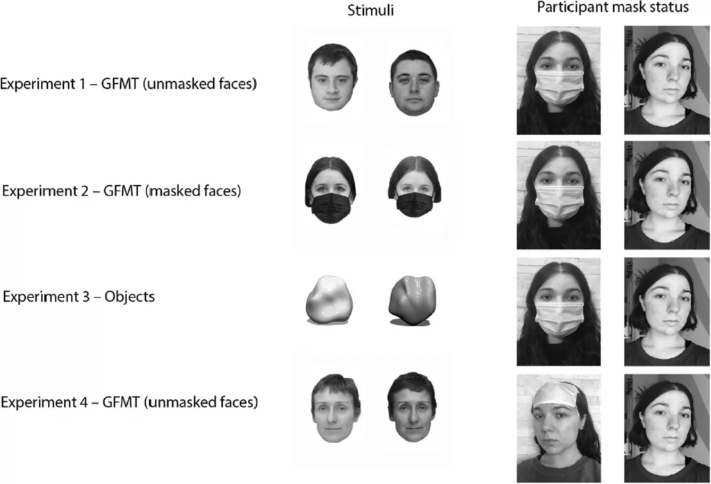 A table showing the four experiments carried out in the study. The top two columns read: Stimuli and Participant mask status. The first row reads: Experiment 1 - GFMT (unmasked faces). Two images of an unmasked face are shown under Stimuli, and two images of a masked and unmasked face are shown under Participant mask status. The second row reads: Experiment 2 - GFMT (masked faces). Two images of masked faces are shown under Stimuli, and two images of a masked and unmasked face are shown under Participant mask status. The third row reads: Experiment 3 - Objects. Two images of round balls are shown under Stimuli, and images of a masked and unmasked face are shown under Participant mask status. The fourth row reads: Experiment 4 - GFMT (unmasked faces). Two images of unmasked faces are shown under Stimuli, and images of an unmasked face as well as a face wearing a mask on their forehead are shown under Participant mask status.