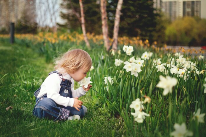 A child sitting in a park and smelling a flower.