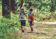 Two children walking in a forest.